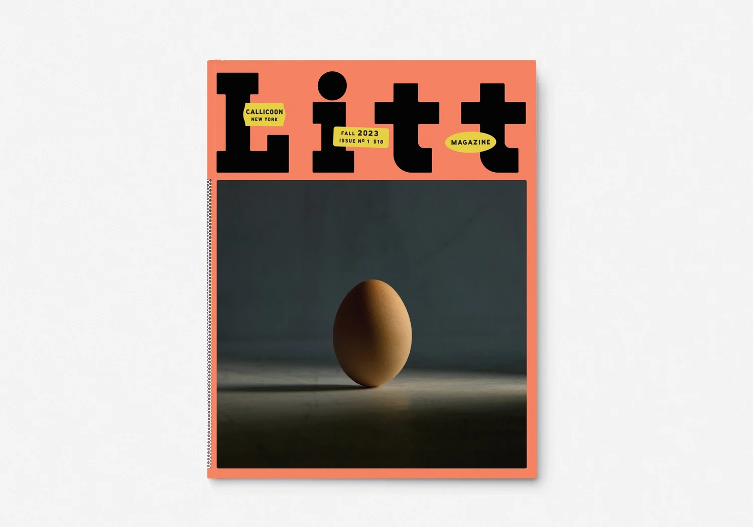 Litt Issue Nº 1 cover